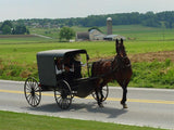 TWO DAY TOUR – Two days in Washington DC and Philadelphia with Amish County (one night)